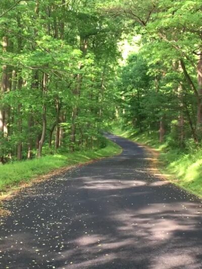 Redoubt Overlook Platform and Parking - Phoenixville, PA