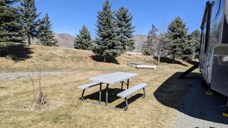 Picabo Angler - Picabo, ID