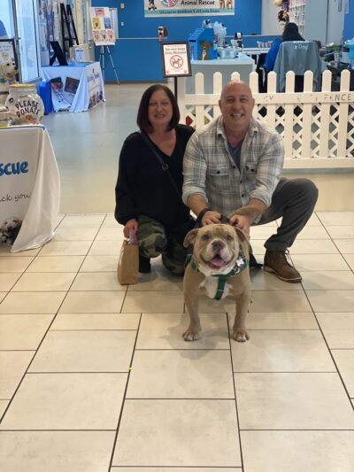 Pick Your Paw Animal Rescue - ,