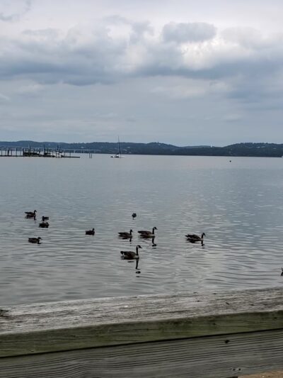 Parelli Park - Piermont, NY