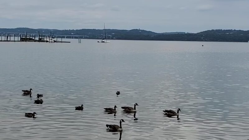 Parelli Park - Piermont, NY