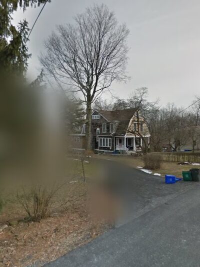 Smarten Up Dog - Piermont, NY