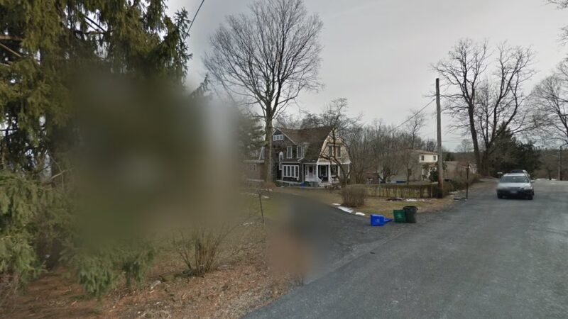 Smarten Up Dog - Piermont, NY