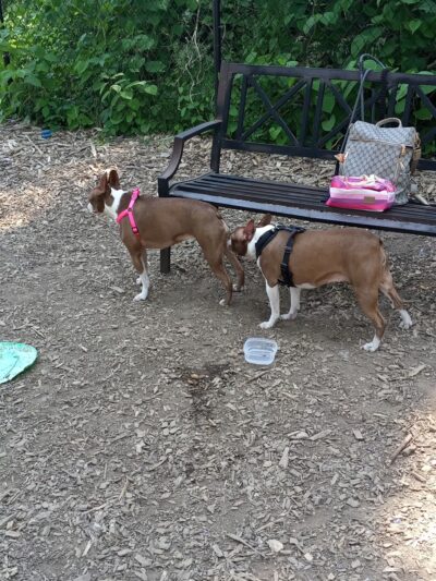 Wendy Kendrick - Piermont, NY