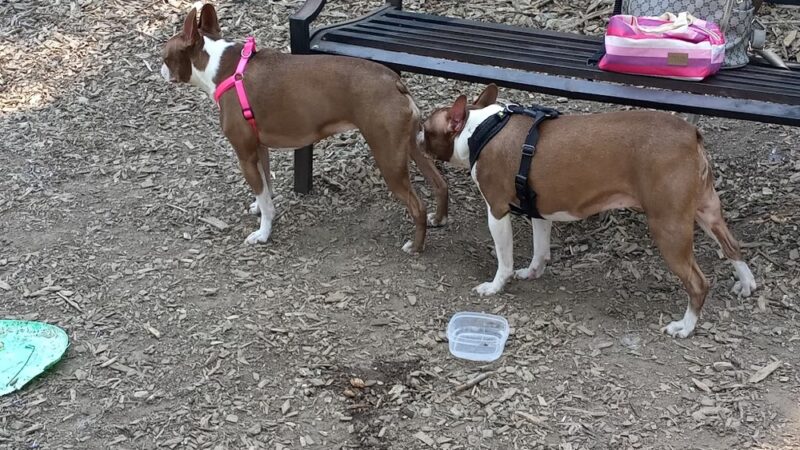 Wendy Kendrick - Piermont, NY