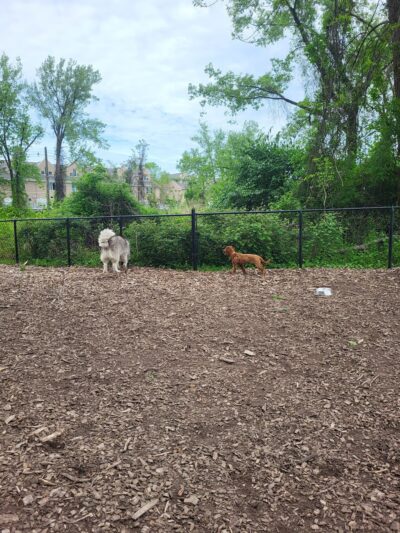 Wendy Kendrick - Piermont, NY