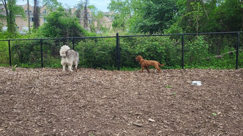 Wendy Kendrick - Piermont, NY