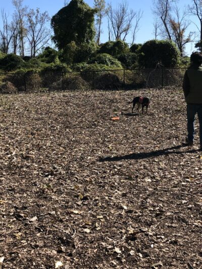 Wendy Kendrick - Piermont, NY