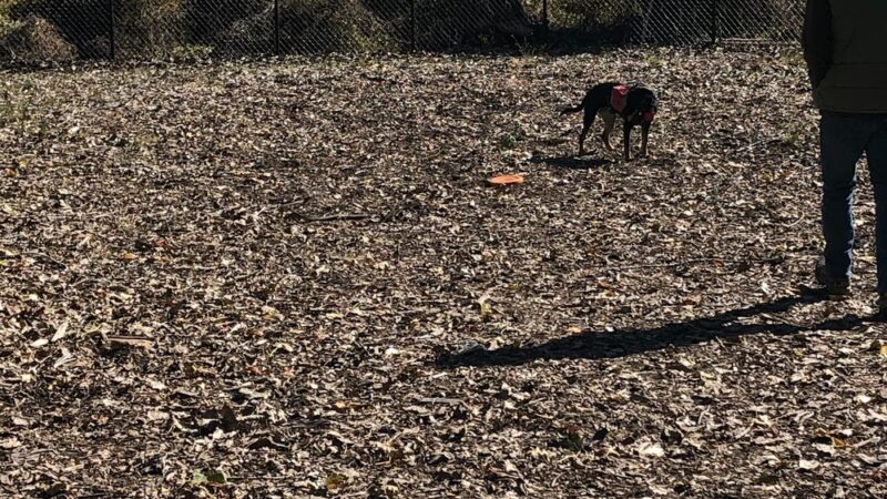 Wendy Kendrick - Piermont, NY