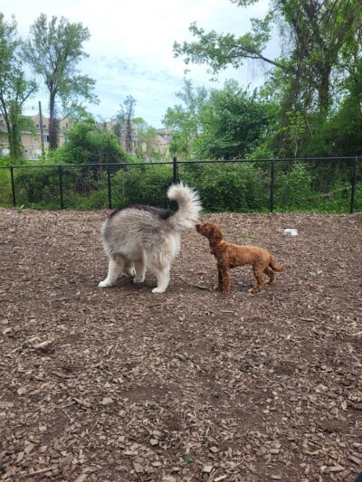 Wendy Kendrick - Piermont, NY