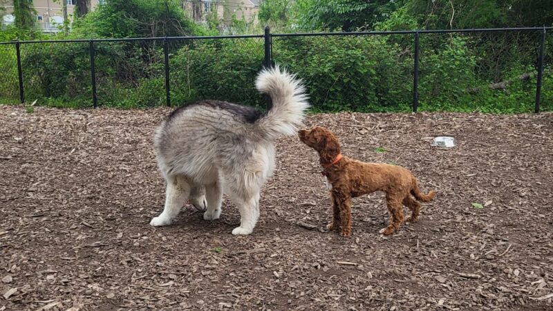 Wendy Kendrick - Piermont, NY