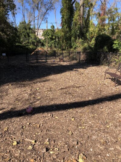 Wendy Kendrick - Piermont, NY