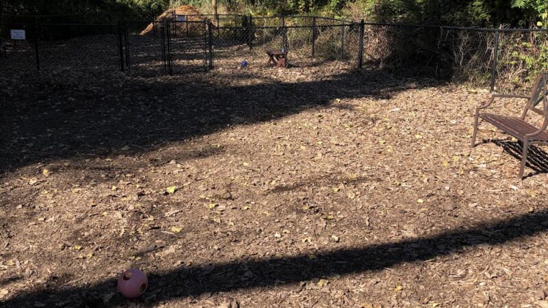 Wendy Kendrick - Piermont, NY