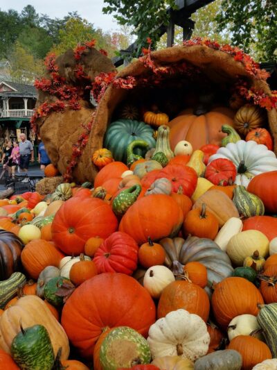 Dogs N Taters - Pigeon Forge, TN