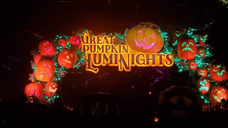 Dogs N Taters - Pigeon Forge, TN