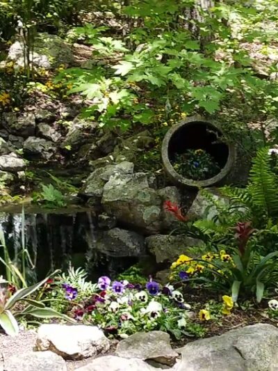 Parrot Mountain and Gardens - Pigeon Forge, TN