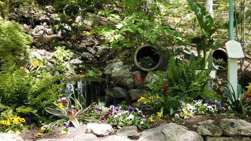 Parrot Mountain and Gardens - Pigeon Forge, TN