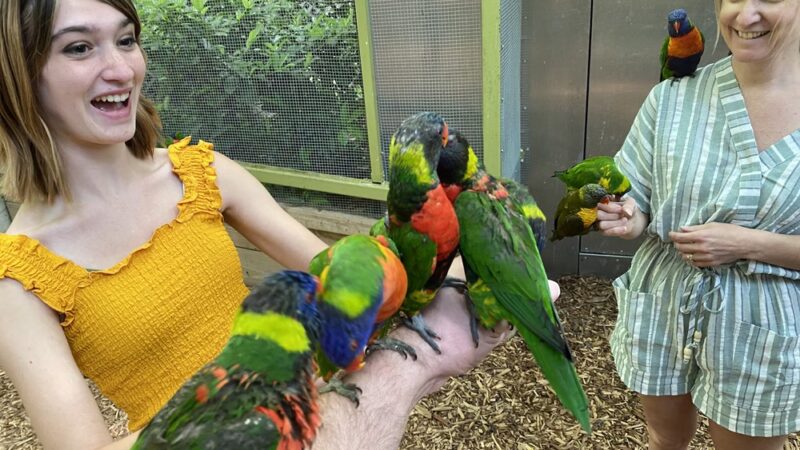 Parrot Mountain and Gardens - Pigeon Forge, TN