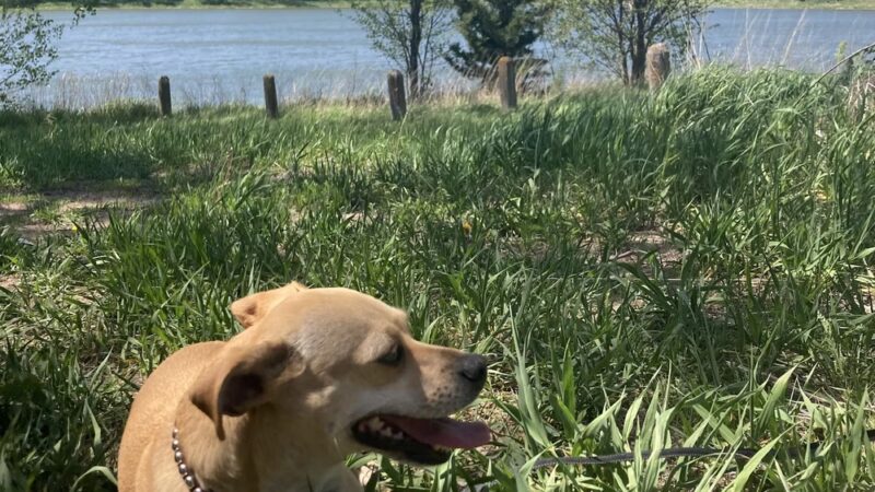 Pilger Recreation Area - Pilger, NE