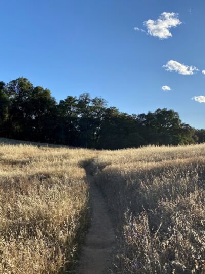 Acorn Creek Trailhead - Pilot Hill, CA