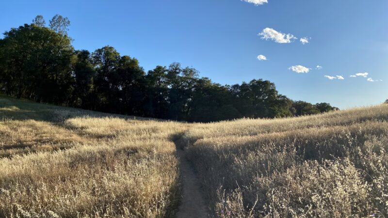 Acorn Creek Trailhead - Pilot Hill, CA