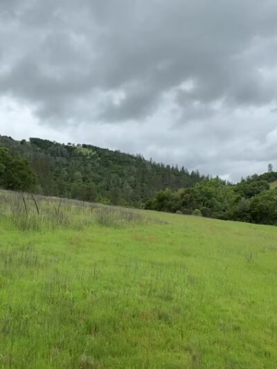 Cronan Ranch Regional Trails Park - Pilot Hill, CA