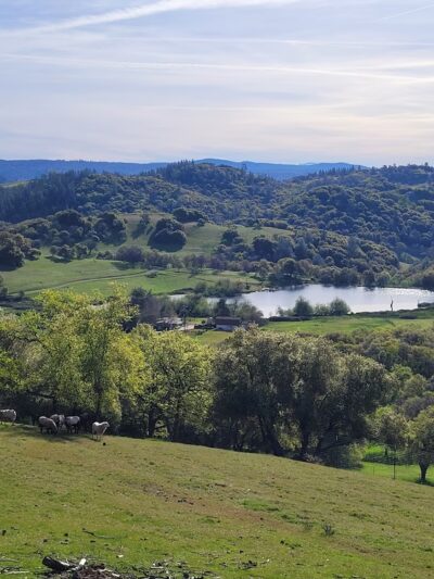 Cronan Ranch Regional Trails Park - Pilot Hill, CA