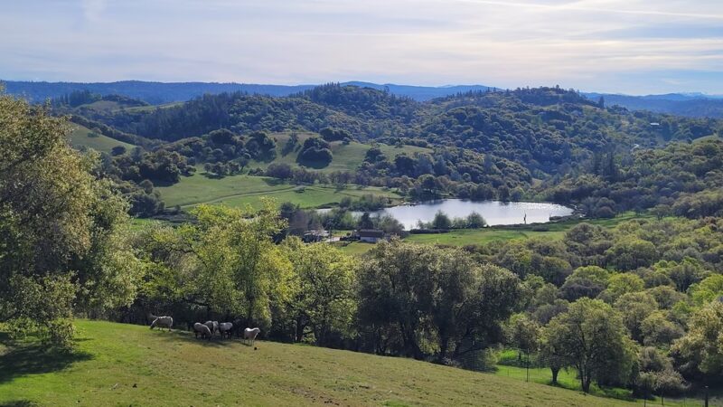 Cronan Ranch Regional Trails Park - Pilot Hill, CA