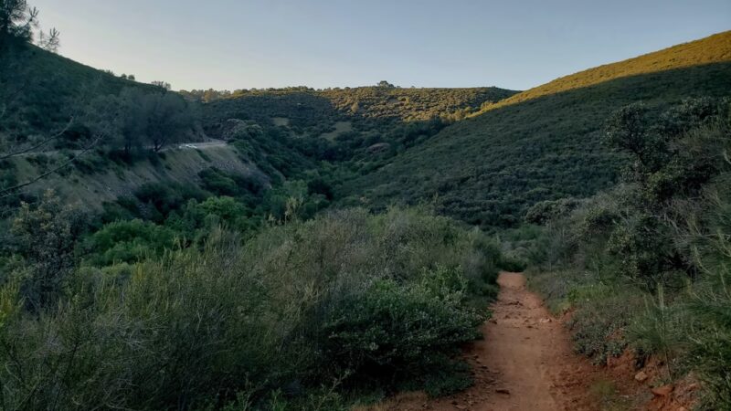 Salmon Falls - Darrington Trail - Pilot Hill, CA