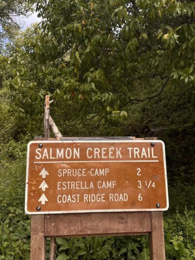 Salmon Falls - Darrington Trail - Pilot Hill, CA