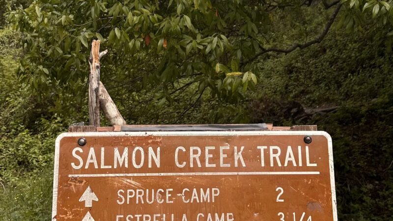 Salmon Falls - Darrington Trail - Pilot Hill, CA