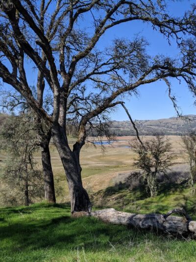 Salmon Falls - Darrington Trail - Pilot Hill, CA
