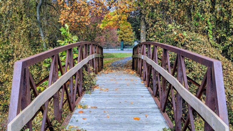 Idylwood Park - Pimmit, VA
