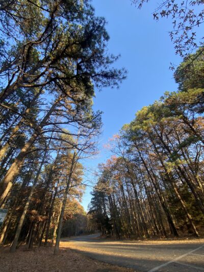 Mill Creek Park - Pine Beach, NJ