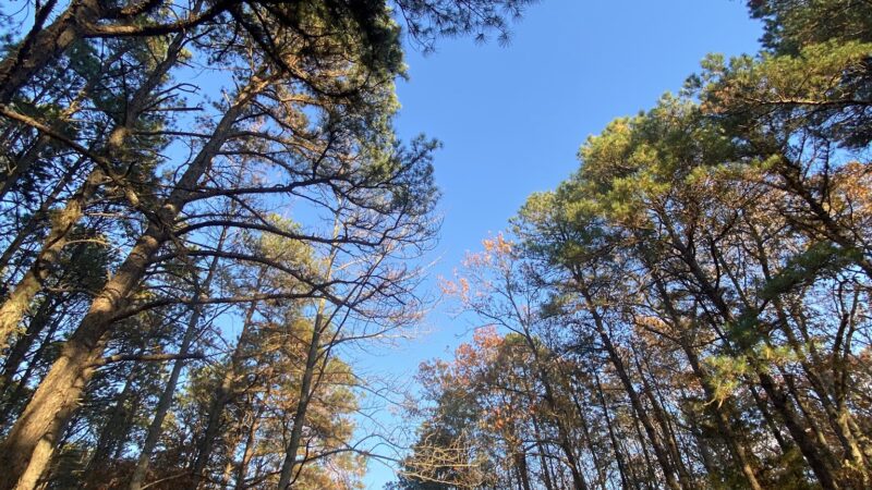 Mill Creek Park - Pine Beach, NJ