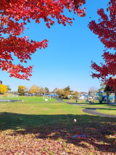 Vista Park - Pine Beach, NJ