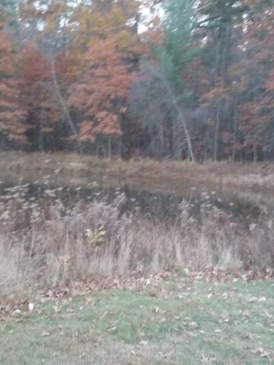 Pine Bush Little League - Pine Bush, NY