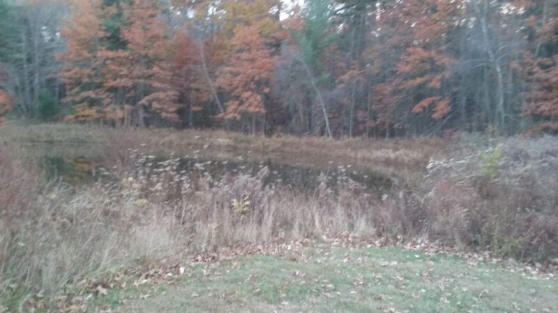Pine Bush Little League - Pine Bush, NY