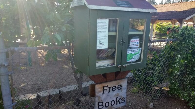 Pine Grove Community Park - Pine Grove, CA