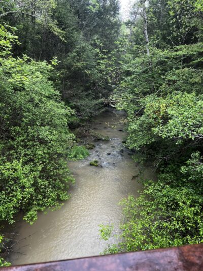 Bridge Fork Bridge Trail - Pine Knot, KY