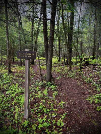 Bridge Fork Bridge Trail - Pine Knot, KY