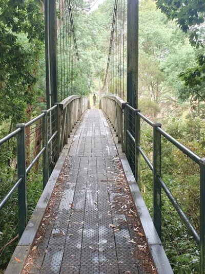 Bridge Fork Bridge Trail - Pine Knot, KY