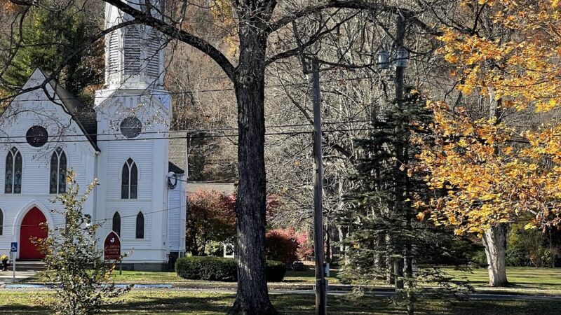 Chapin Park - Pine Meadow, CT
