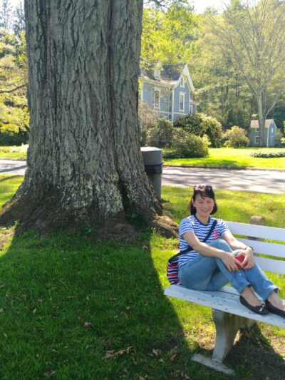 Chapin Park - Pine Meadow, CT