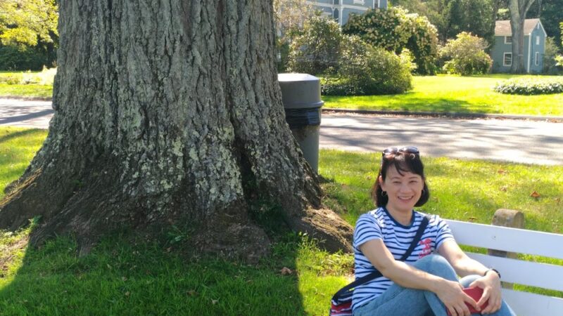 Chapin Park - Pine Meadow, CT