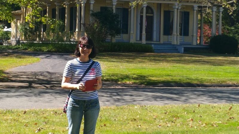 Chapin Park - Pine Meadow, CT