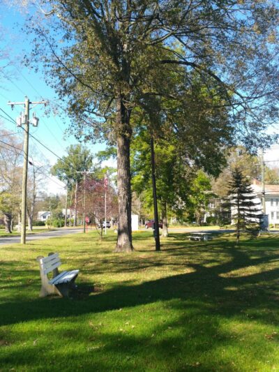 Chapin Park - Pine Meadow, CT