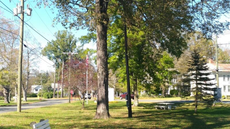 Chapin Park - Pine Meadow, CT