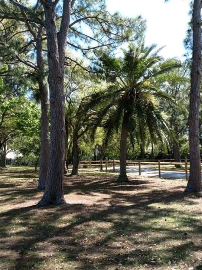 Freedom Lake Park - Pinellas Park, FL