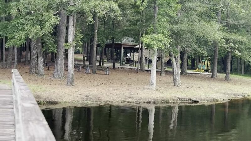Cabin Lake County Park - Pink Hill, NC